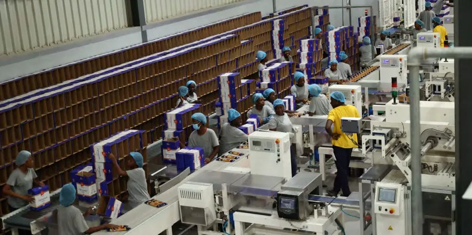 Indicadores do emprego e sua importância económica