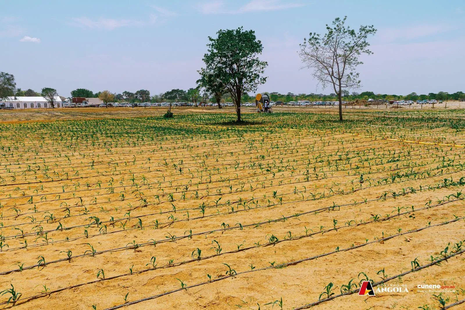 Massano desafia jovens no Cunene a investir na agricultura e pecuária; Executivo reforça apoio com 173 mil toneladas de fertilizantes e novos projectos hídricos