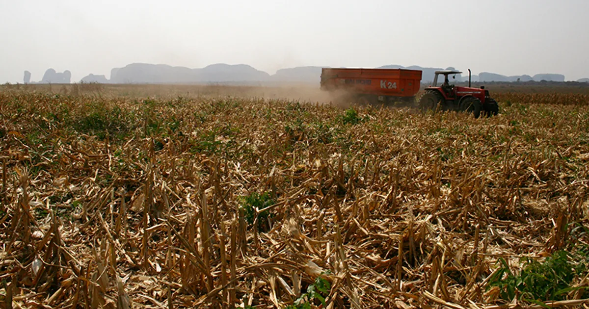 O contributo do agronegócio para o equilíbrio global