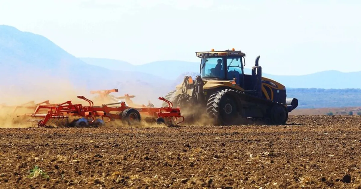 Números duvidosos sobre produção e exportações atrasam evolução do sector agrícola