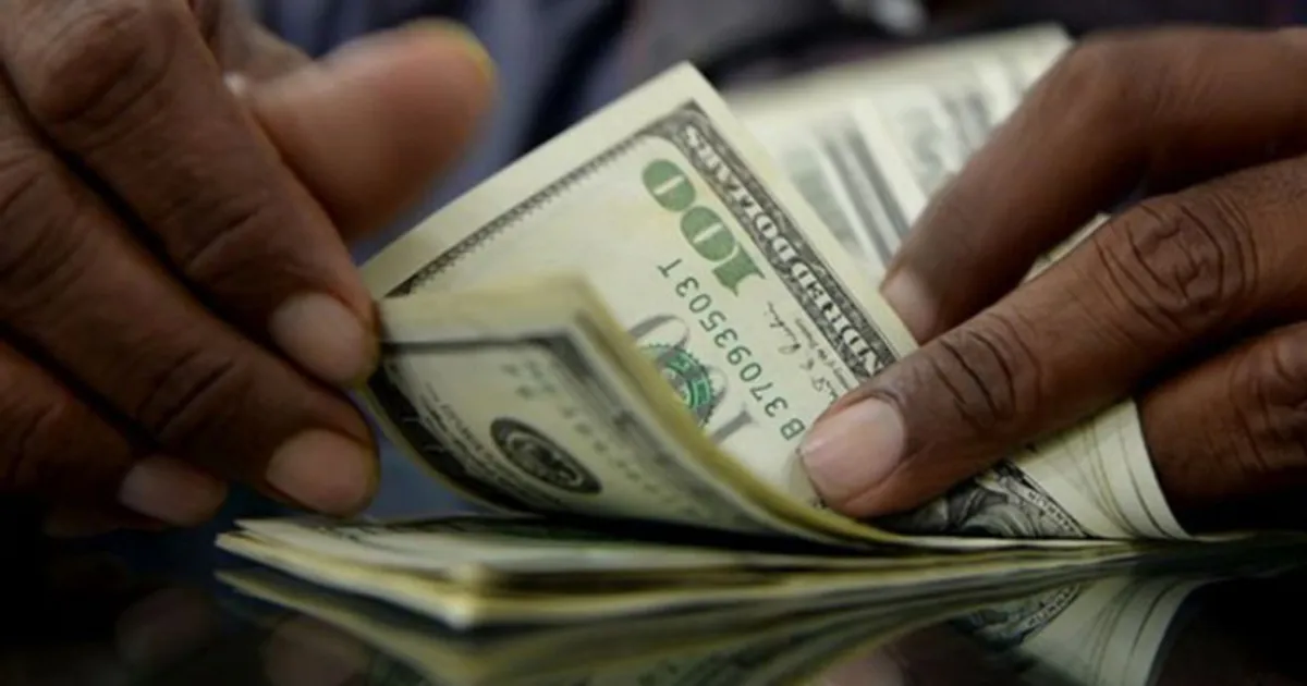 Venda de moeda estrangeira afunda 92% desde 2019