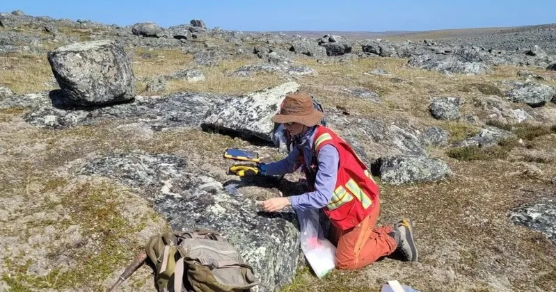 Australianos adquirem 80% de projecto de nióbio e terras raras