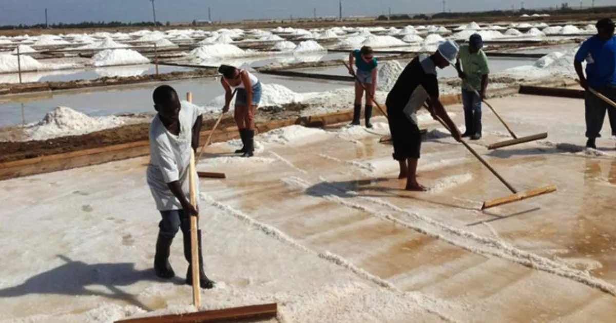 Governo proíbe uso de lonas plásticas no processo de produção de sal