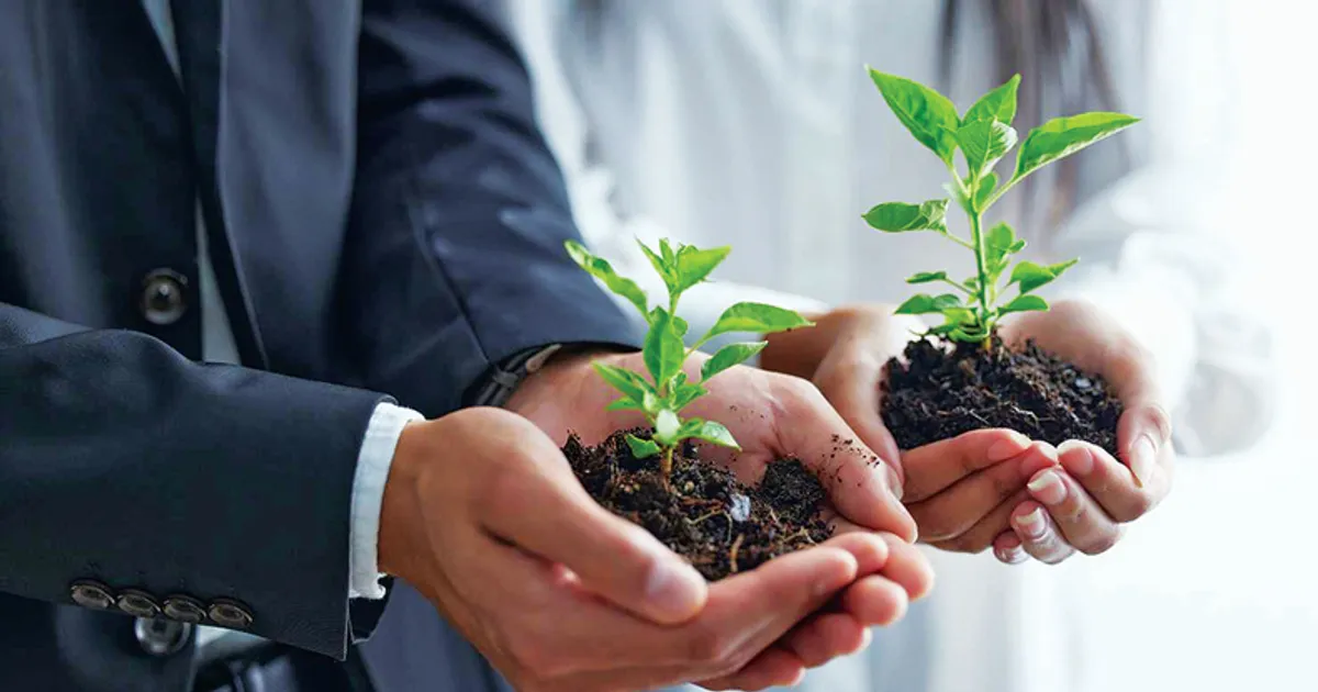 Empresas com alma: quando o propósito se torna vantagem competitiva