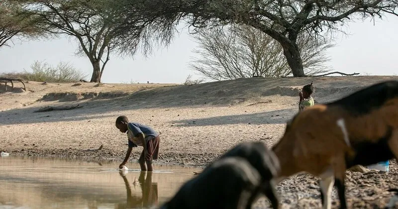 Choque climático e pobreza faz aumentar desnutrição crónica no sul do País