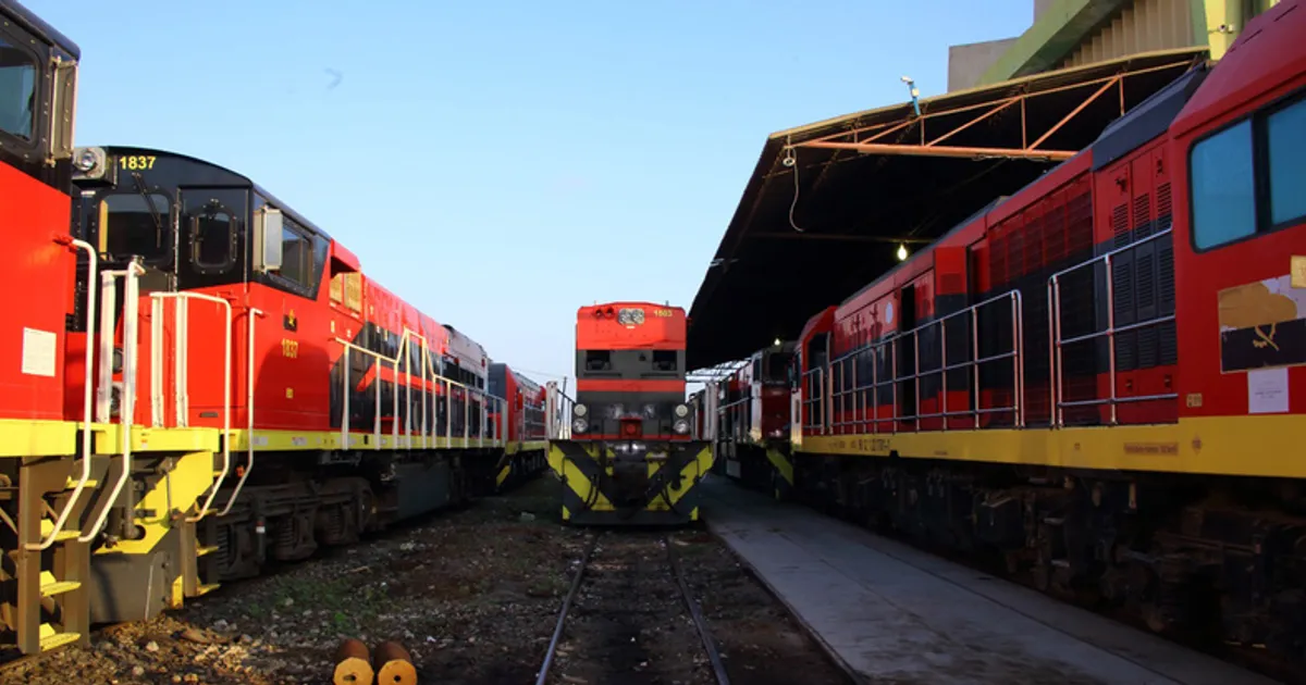 Caminhos de ferro receberam 43 milhões USD em subsídios, mas somaram prejuízos de 50 milhões em cinco anos