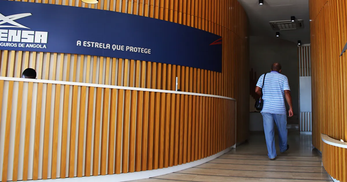Resseguradora nacional vai avançar com privados e será apresentada em Novembro