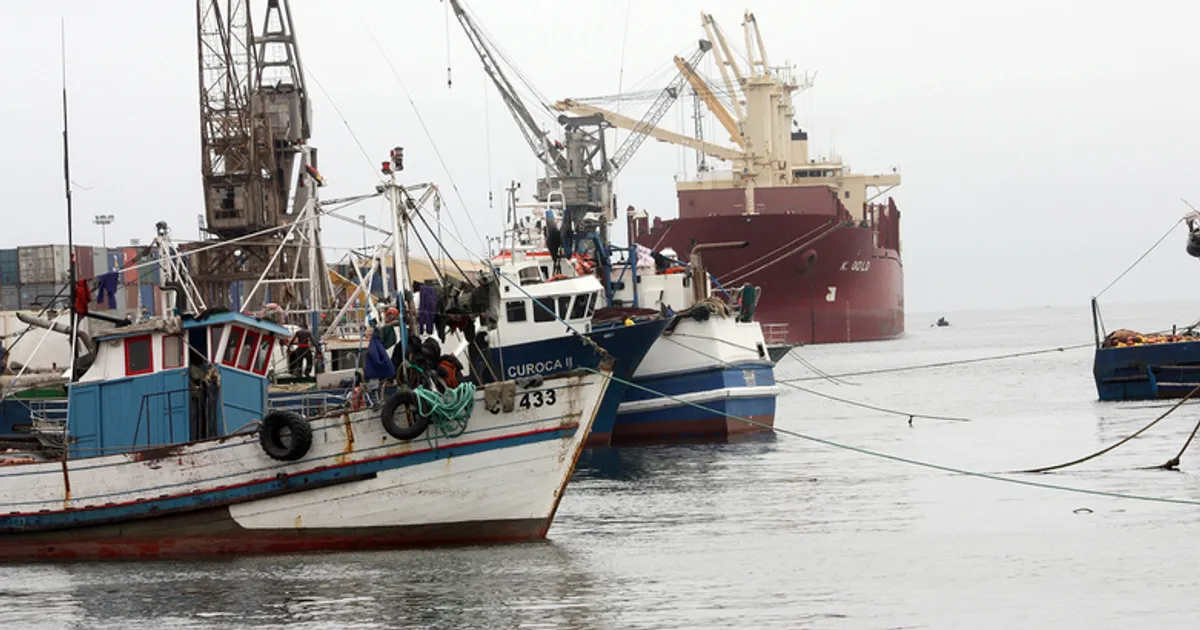 Governo proíbe pesca de carapau até final de Agosto para salvaguardar reprodução