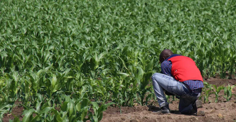Os paramêtros do acordo agrícola entre Angola e o Brasil