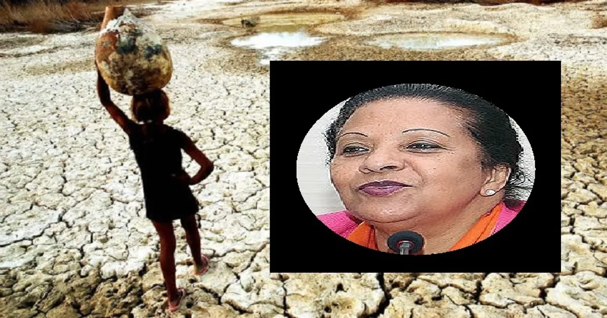 Fátima Jardim, A Nova Secretária Executiva Da Cplp