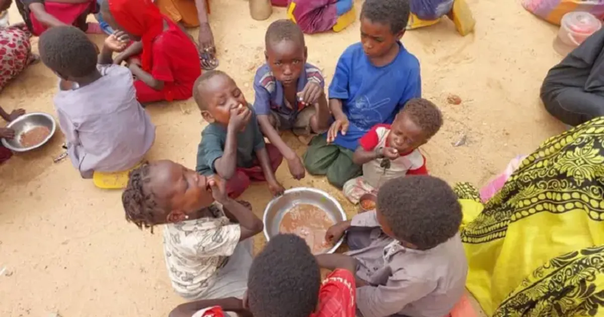 Uma Em Cada Seis Crianças Em Darfur Estão A Morrer À Fome