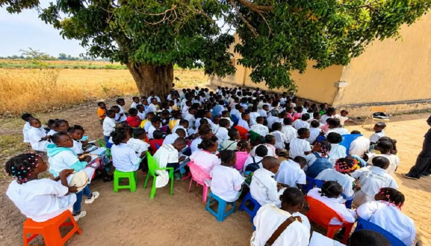 50 ANOS DE MPLA, 19 MIL ÁRVORES QUE SÃO… ESCOLAS