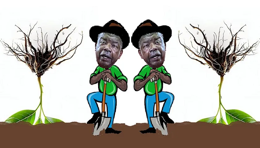 MPLA Nega-se A Importar Sementes De… Competência