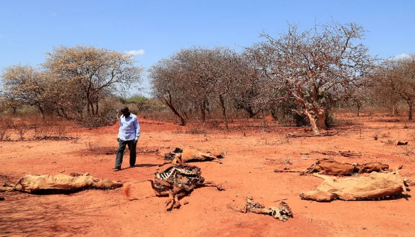Milhões De Africanos Enfrentam A Fome Por Causa Da Seca