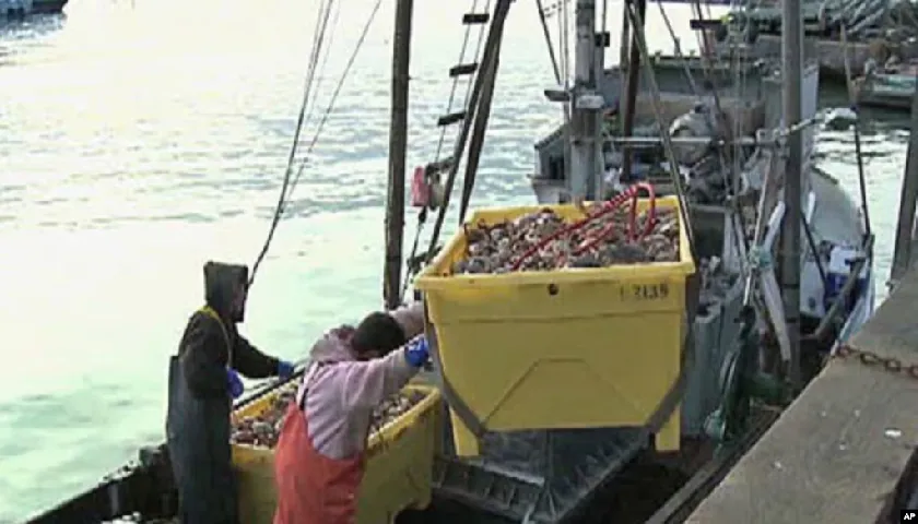 Ministério Das Pescas Persegue Sindicalistas
