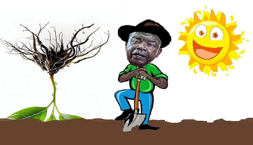 MPLA Aposta Em Importar Comida Em Vez De A Produzir