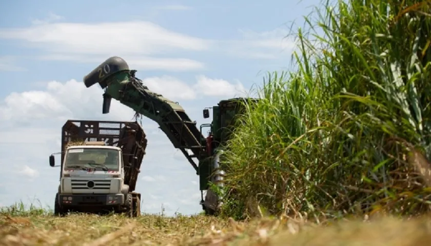 Custo Dos Fertilizantes Estrangula A Agricultura