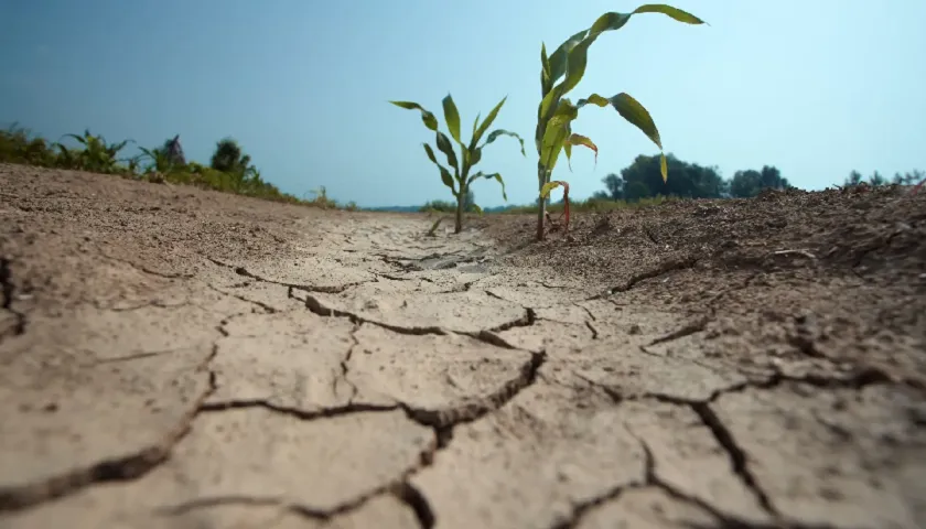 Governo Do Namibe Vai Ao Alentejo Aprender A Lidar Com A Seca