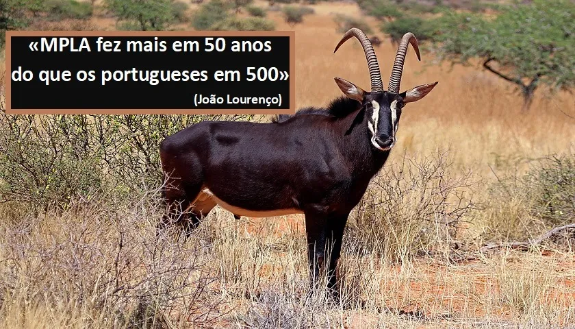 Obras De Emergência Para As Palanca Negras Gigantes