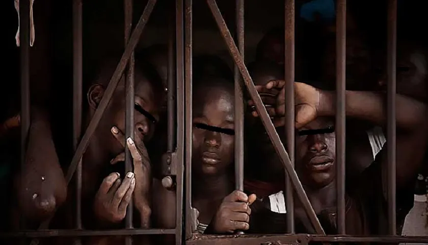 Cadeias São Escolas De Crime E Paraíso De Doenças