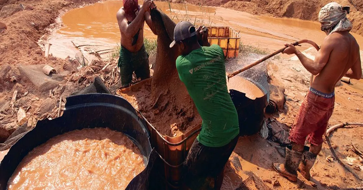 Degradação Ambiental Atinge Países Lusófonos