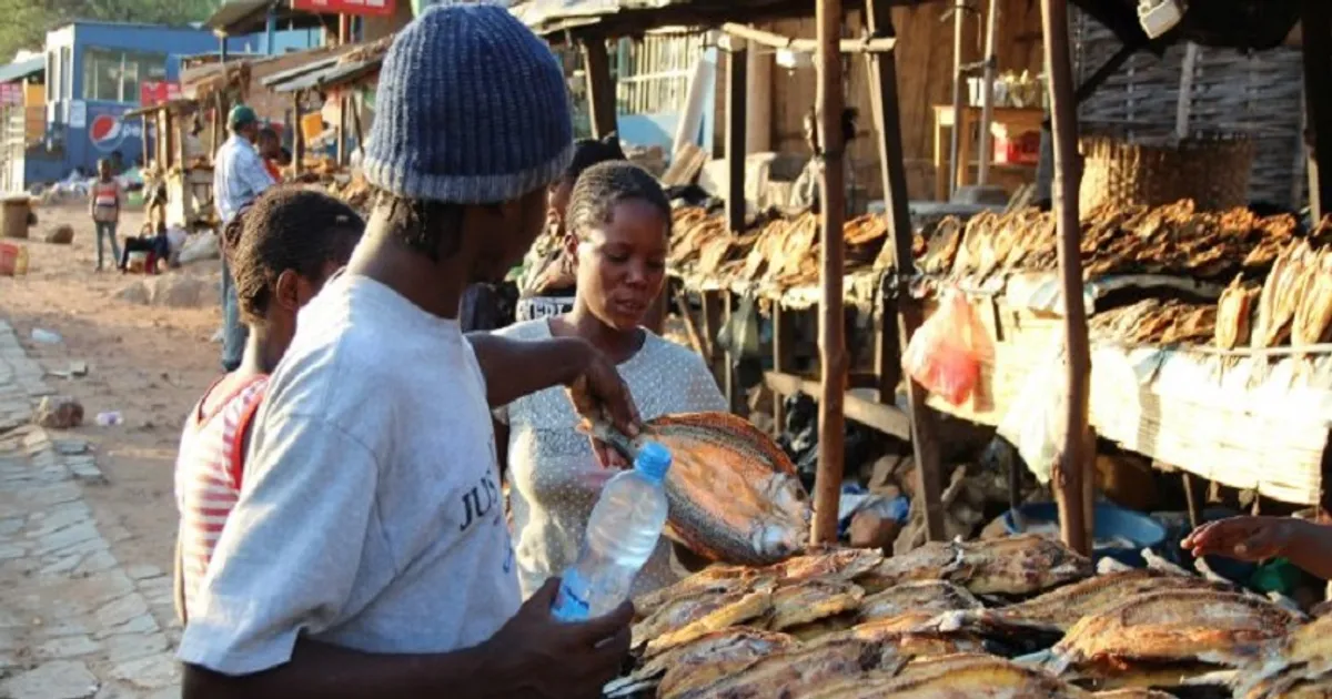 Importadas 20.390 Toneladas De Produtos De Pesca