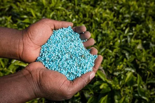 Amufert regista avanços do projecto de construção da futura fábrica de amónia de Angola