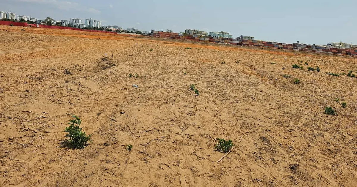 Angola concede 800 mil hectares para produção agrícola a brasileiros e chineses
