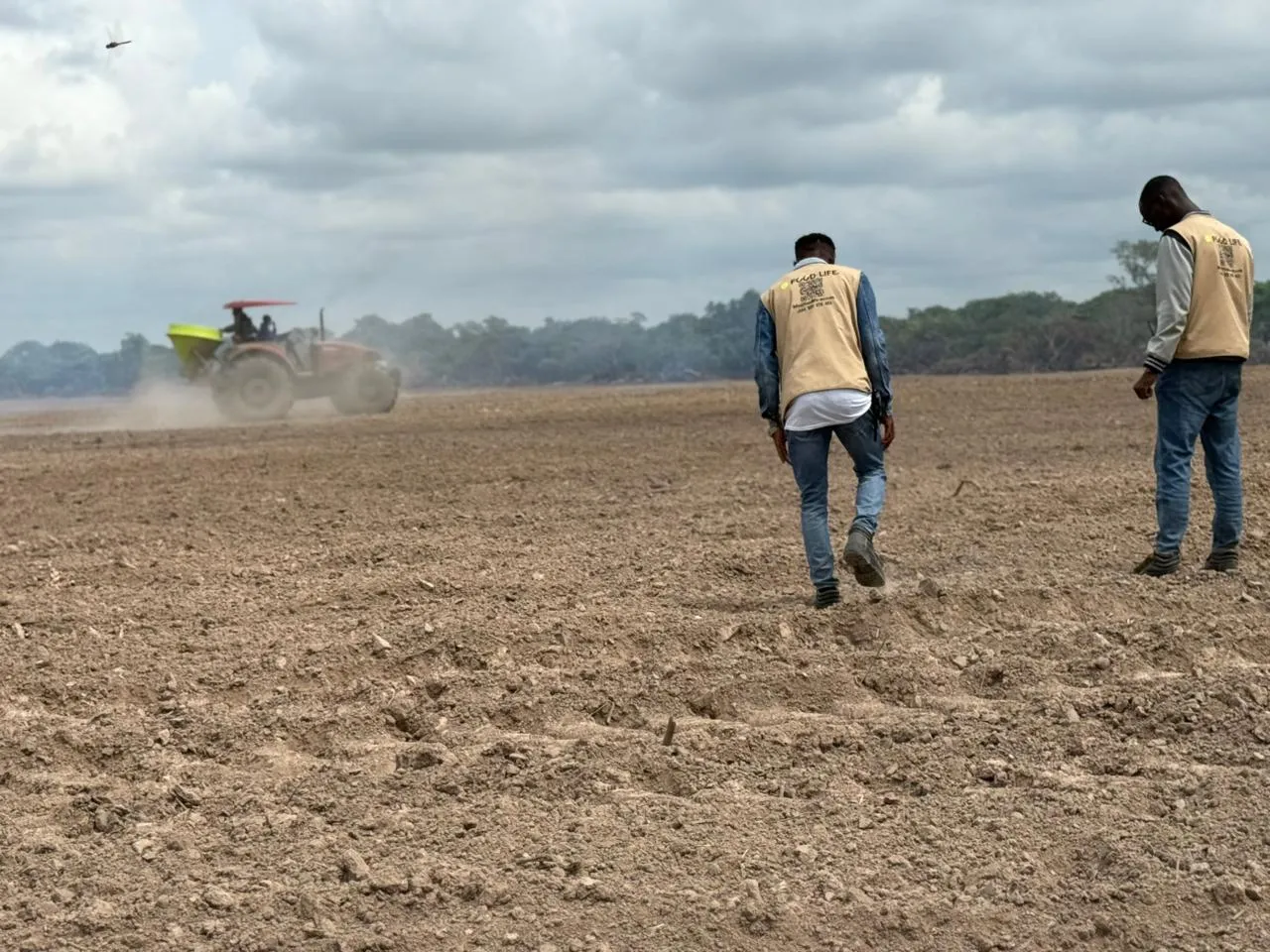 Food Life investe 6 mil milhões Kz na produção de arroz e aposta na autossuficiência alimentar