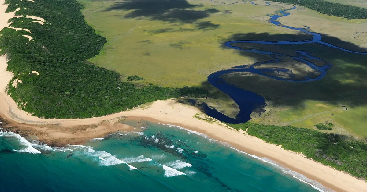 Parque Nacional de Maputo elevado a Património Mundial pela UNESCO