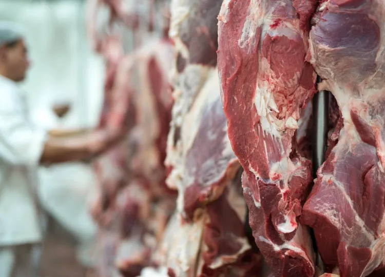 Cheias travam pecuária em Moçambique e produção de carne bovina cai 22%