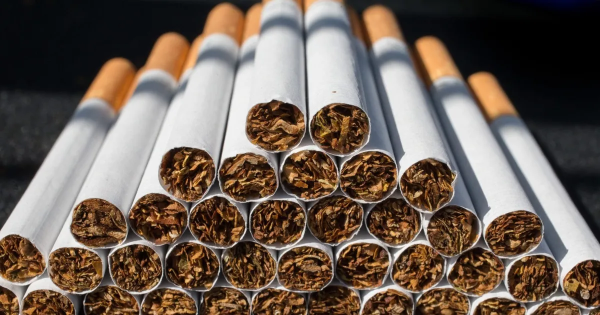 Tabaco exportado por Moçambique aumenta 41% em 2024