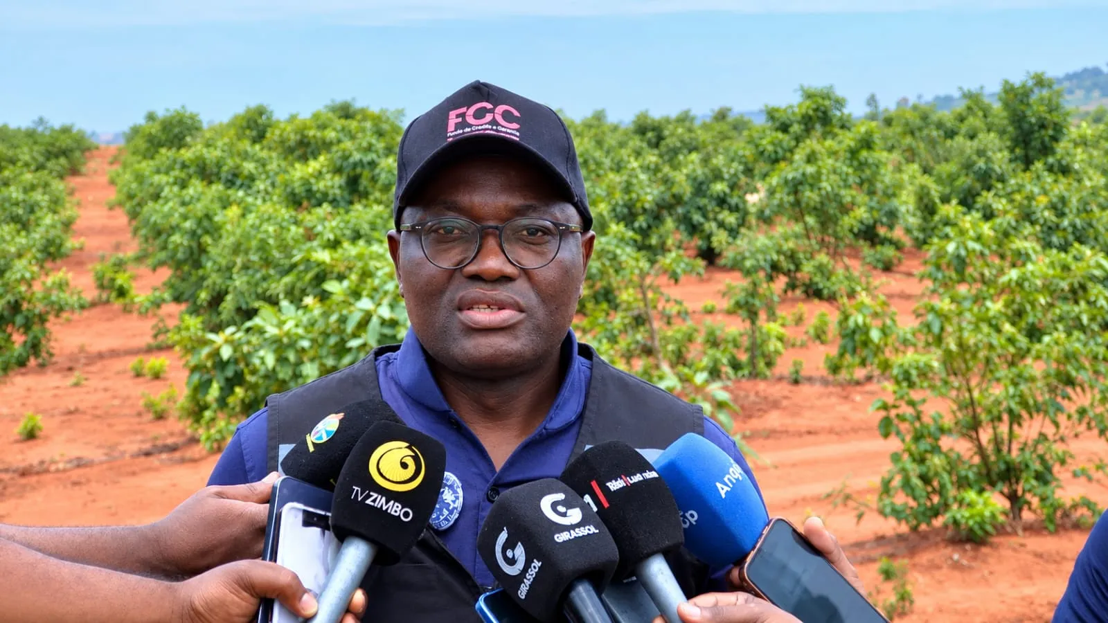 FGC garante 862 milhões Kz de financiamento de 2,3 mil milhões para produção de abacate no Huambo