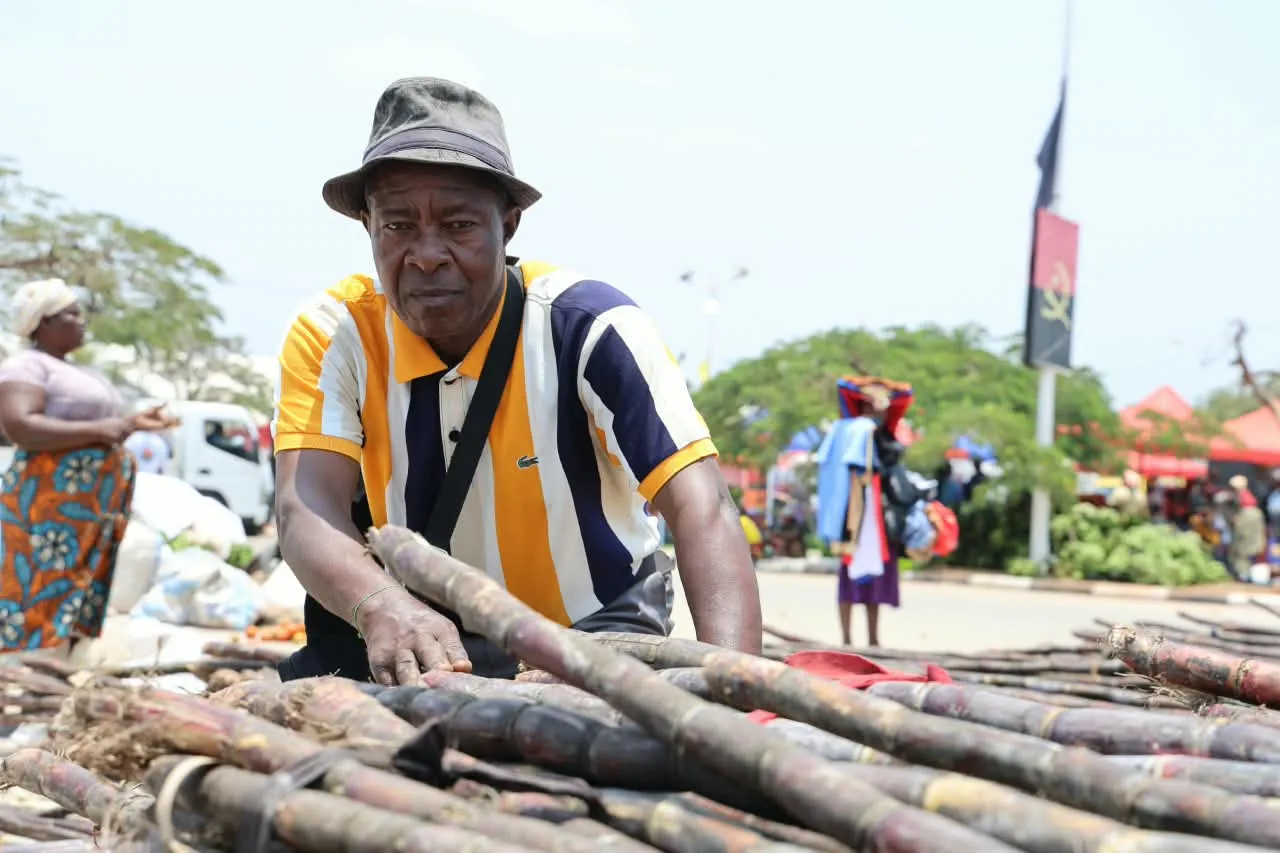 Expo-Bengo: Produtores defendem transformação da cana-de-açúcar para reduzir perdas e criar novas oportunidades de negócio