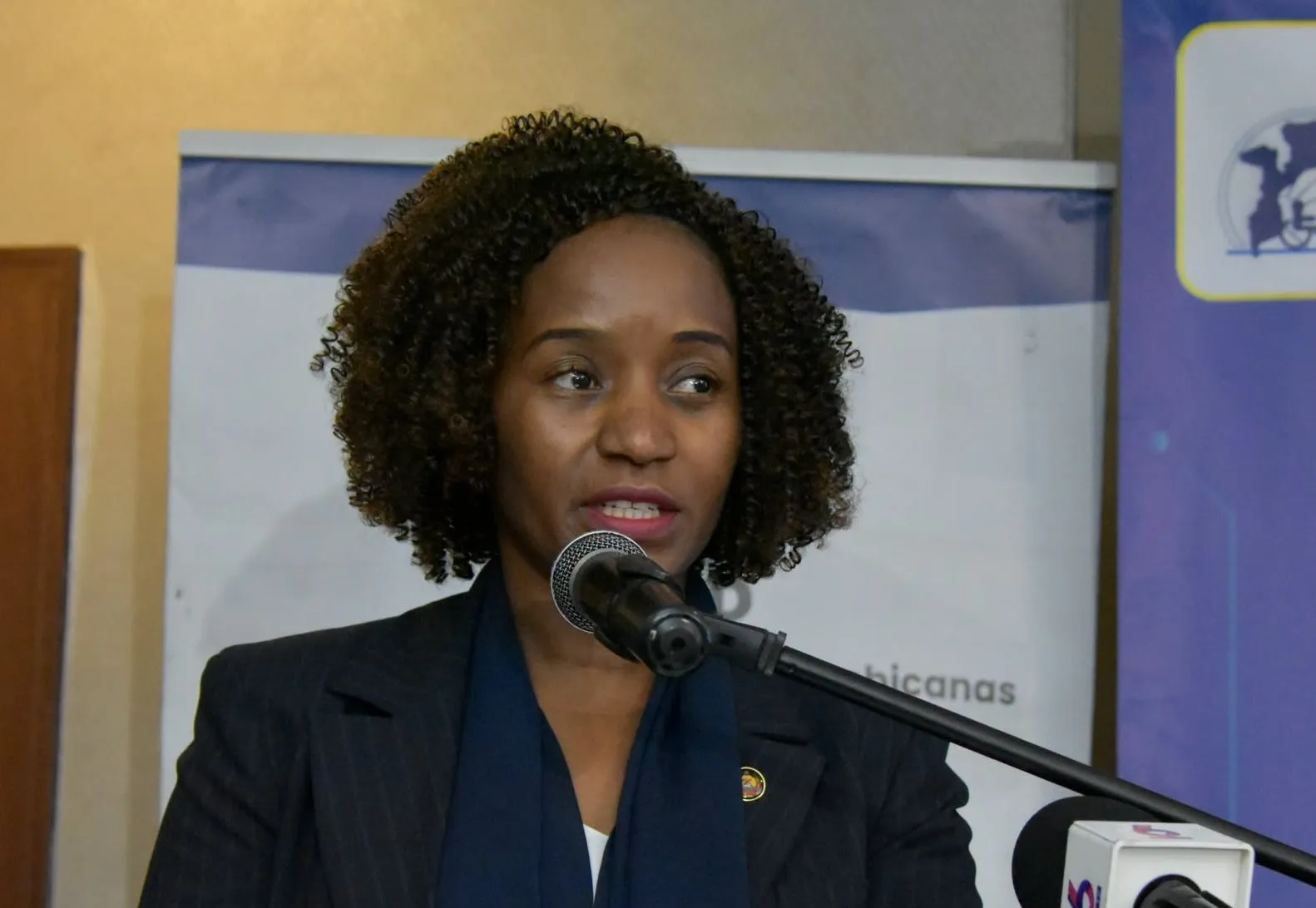 Moçambique enfrenta desafios relacionados com infra-estruturas tecnológicas