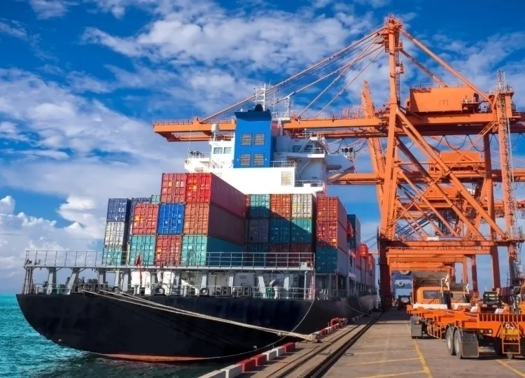 Exportação pesqueira de Moçambique reduz 18% para 8.005 toneladas em 2025