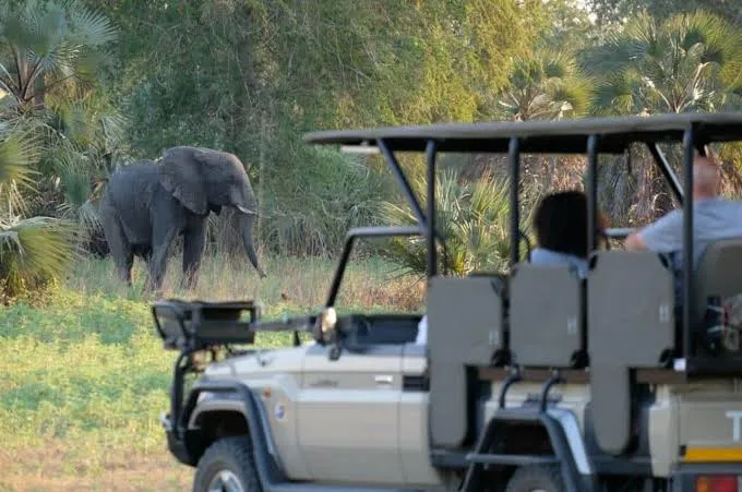 Gorongosa recebe prémio internacional por liderança na conservação da biodiversidade