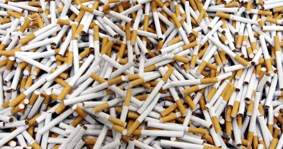 Exportações de tabaco moçambicano caem quase 50% no início de 2025