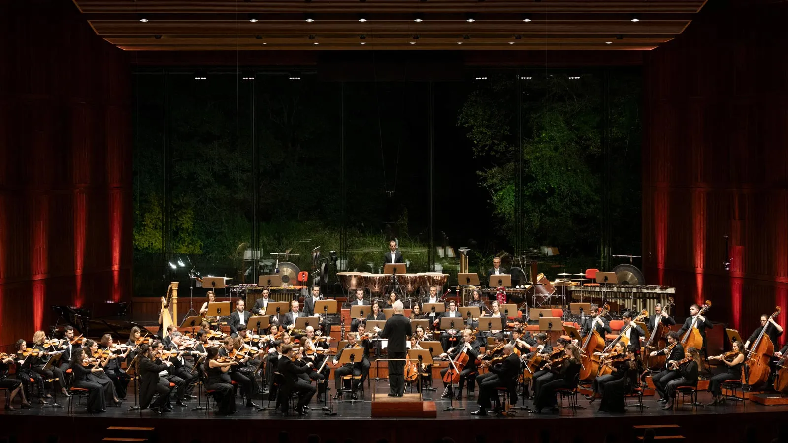 Fundação Gulbenkian transmite concerto em directo para Angola, Cabo Verde e Moçambique