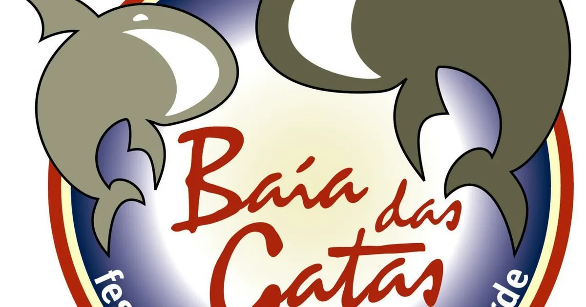 Festival da Baía das Gatas cancelado na ilha de São Vicente após chuvas mortais