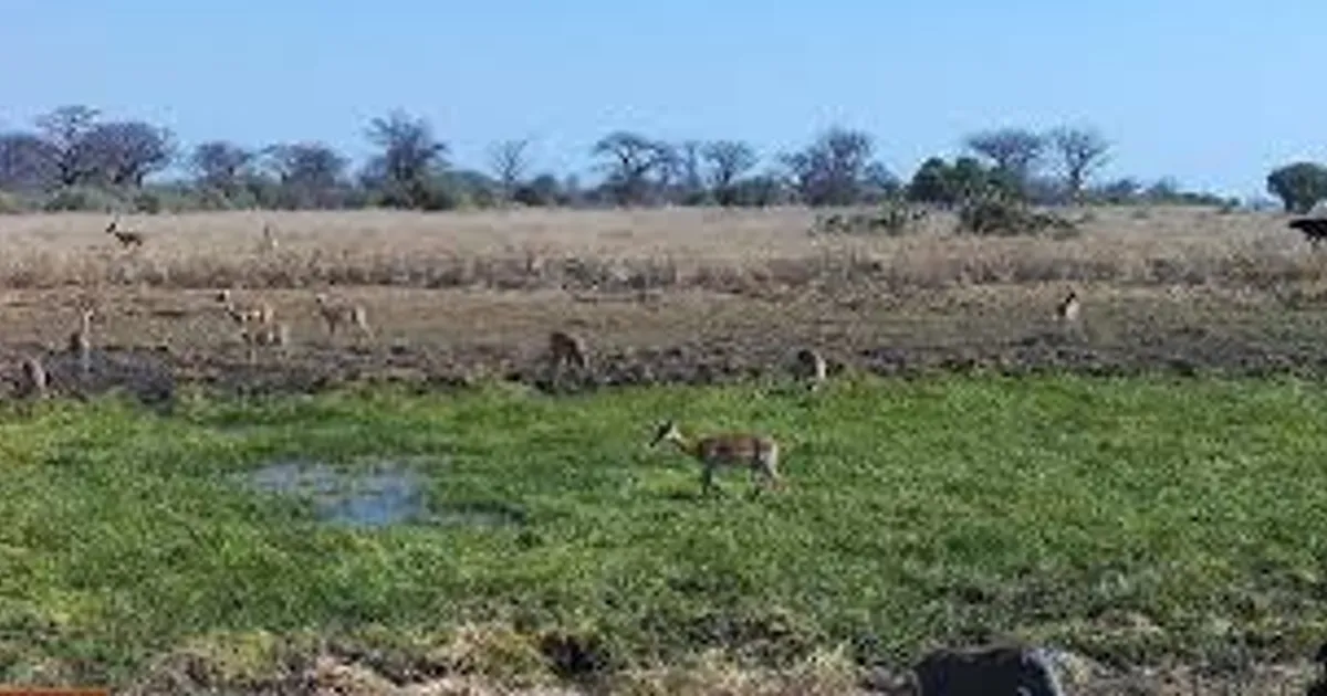 Moçambique canaliza sete milhões de euros a comités de gestão de recursos naturais desde 2005