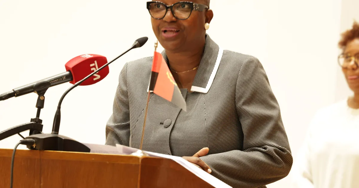 OCPCA de Angola enfrenta dificuldades na interligação de dados com a AGT