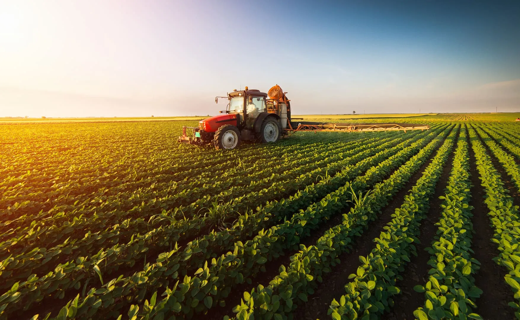Moçambique mobiliza 24 milhões de euros para financiar projectos do agronegócio
