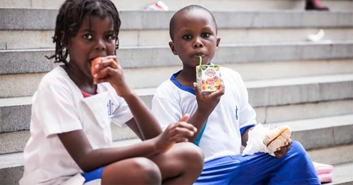 Governo angolano prevê gastar 1,2 mil milhões de euros em alimentação escolar até 2027