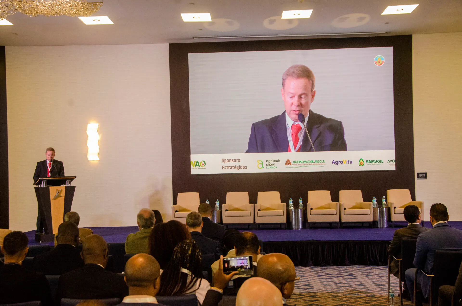 Angola quer afirmar-se como nova potência exportadora de abacate e ‘recebe aval’ da World Avocado Organisation