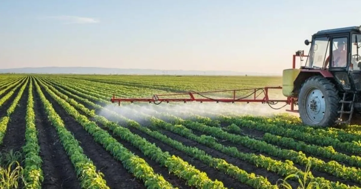 Angola aumenta produção agrícola na época 2024-2025