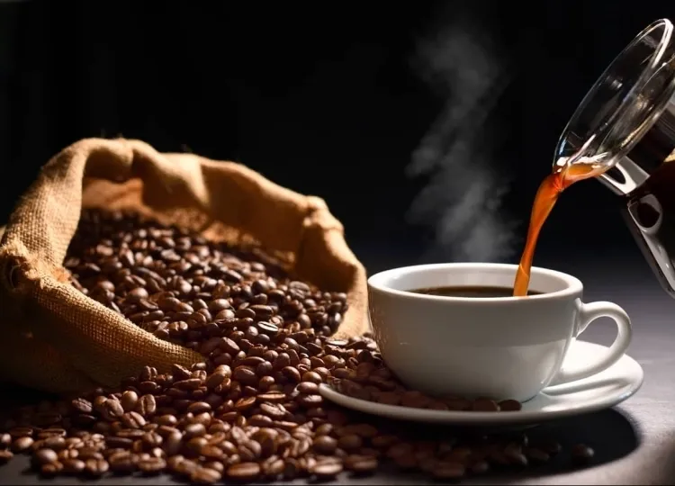Angola prepara novas regras para exportação de café e aposta na valorização da produção nacional
