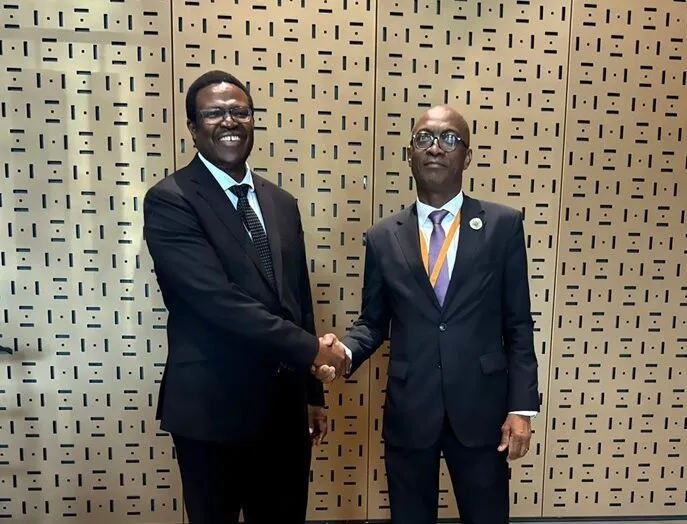 Angola e BAD aceleram projectos agrícolas e preparam zonas de agro-processamento