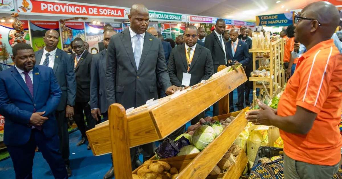 Fundo de Garantia de 40 milhões USD impulsiona acesso ao crédito das PME em Moçambique
