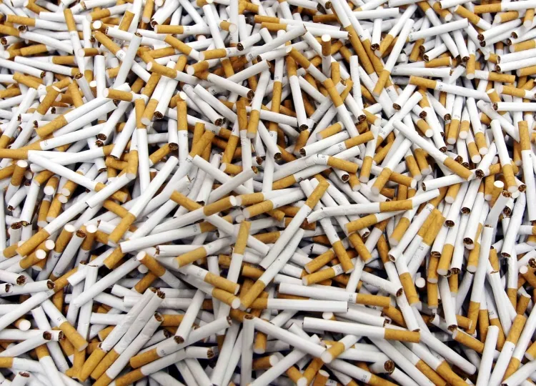 Exportação de tabacos em Moçambique sobe 224 milhões de euros em 2025
